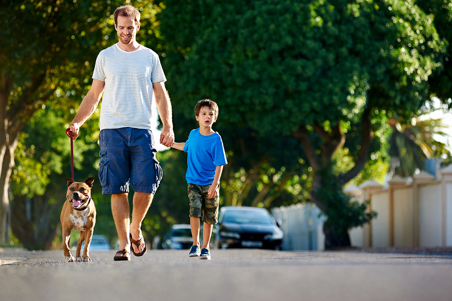 Dad and son take dog for a walk in their neighborhood on a quiet residential street